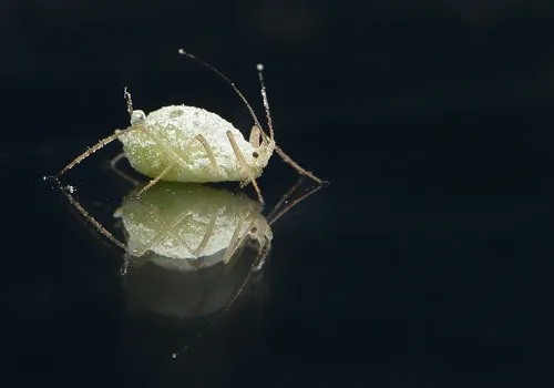 How to Conduct a PEST Analysis: Uncovering Key Factors for Strategic Planning