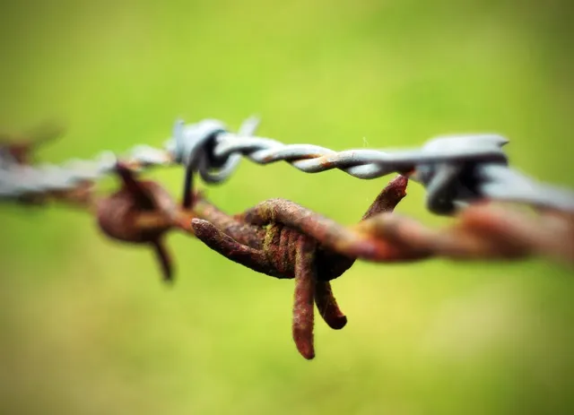Benefits and Limitations of the Model