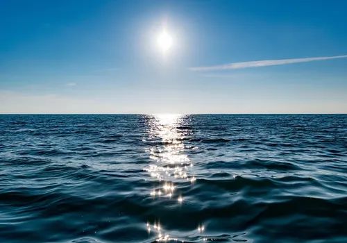 What is Blue Ocean Strategy and How Can it Transform Your Business?