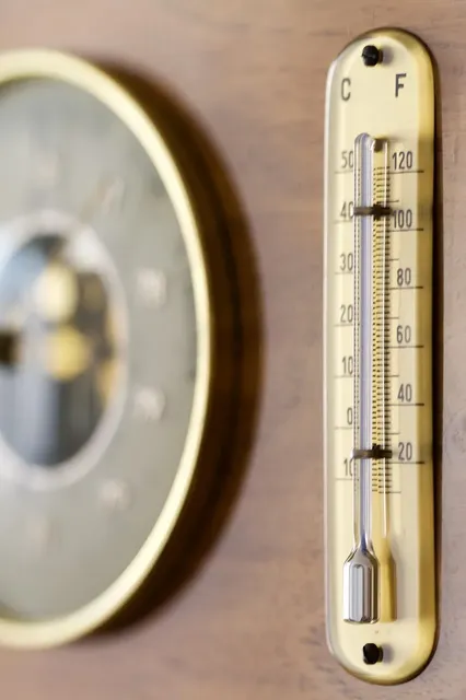 The Importance of Measuring and Monitoring Progress in Performance Improvement Consulting